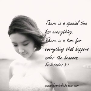 13907140_1237288602949504_2732893887540564716_n