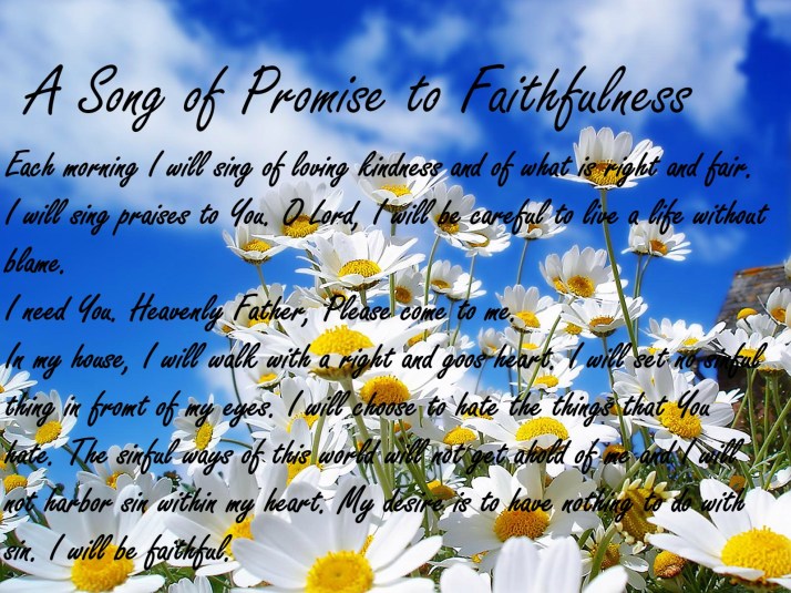 wp_Spring_Daisy_1600x1200